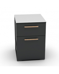 Obrázok pre Skrinka s odpadkovým košom CT 60